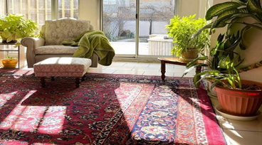 قالیشویی حرفه ای: کدام یک بهترین است؟