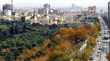 قالیشویی دولت