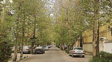 قالیشویی قلهک