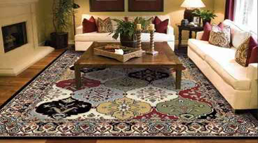 کرم فرش خوار چیست؟ چطور فرش را از آن محافظت کنیم؟